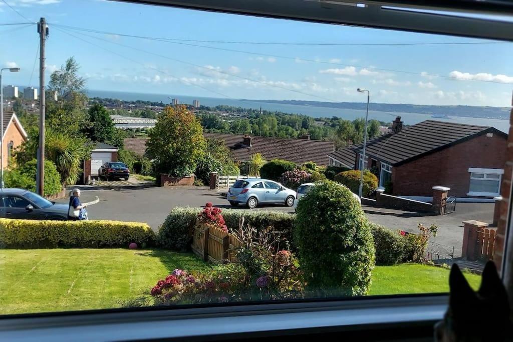 Bellevue Bungalow - Comfortable Home With Amazing Views Belfast Exterior photo