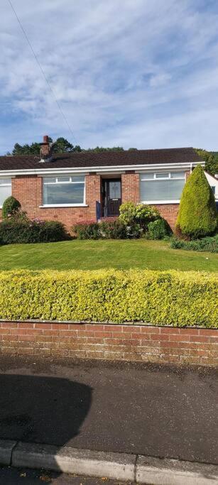 Bellevue Bungalow - Comfortable Home With Amazing Views Belfast Exterior photo