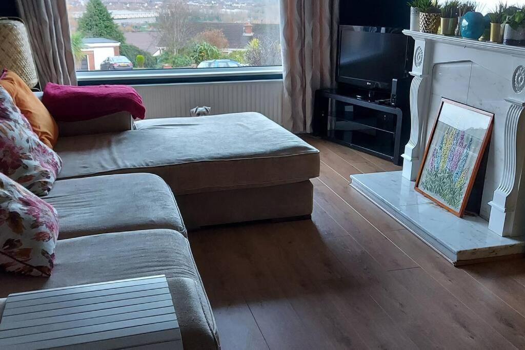 Bellevue Bungalow - Comfortable Home With Amazing Views Belfast Exterior photo